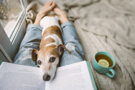 A photo of a person relaxing on their bed with a puppy, book, and coffee nearby for a calming effect.